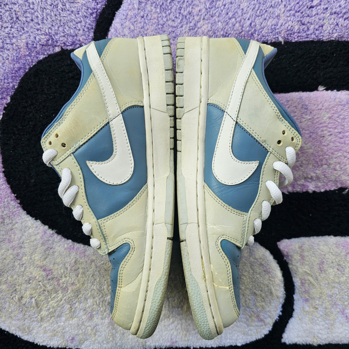 Nike Dunk Low Pro B “Antarctica”